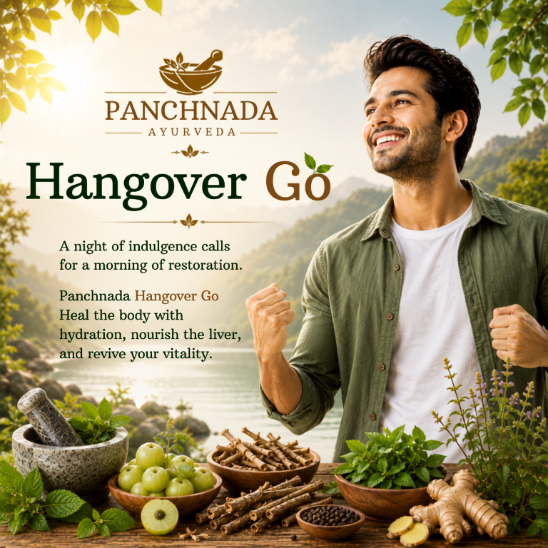 Panchnada Hangover Go